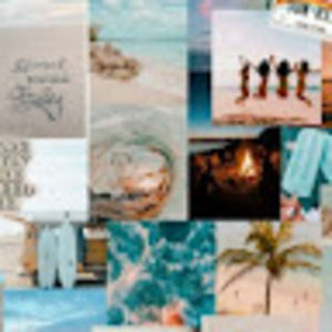 Meet your Posher, Liz